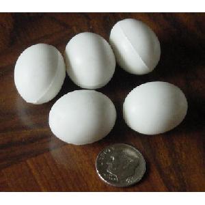ARTIFICIAL EGGS Image