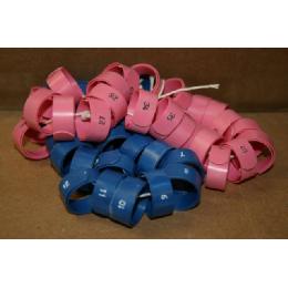 #FCN4 9.5mm FLAT COILED WRAP AROUND Image