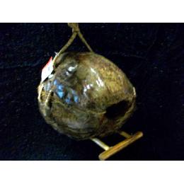 #B14585 COCONUT NEST Image