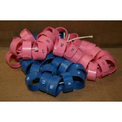 NUMBERED, FLAT COILED WRAP AROUND Image